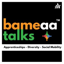 Bameaa Talks