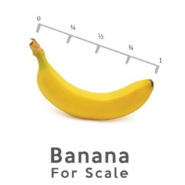 Banana for Scale