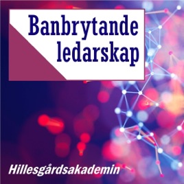 Banbrytande ledarskap