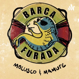 BARCA FURADA