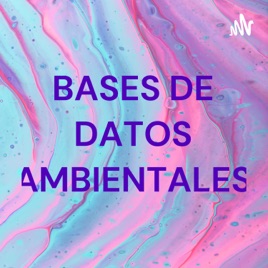 BASES DE DATOS AMBIENTALES