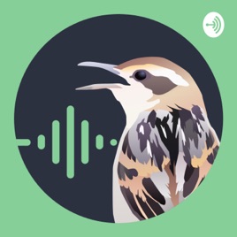 Batebico Podcast