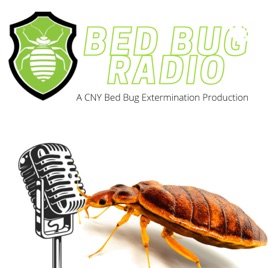 Bed Bug Radio