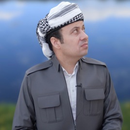 Bedel Boseli