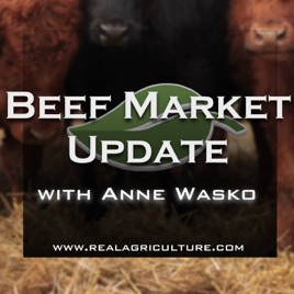 Beef Market Update – RealAgriculture