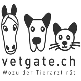 Bellos & Bellas - der vetgate Hundepodcast