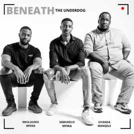 Beneath The Underdog