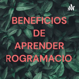BENEFICIOS DE APRENDER PROGRAMACION