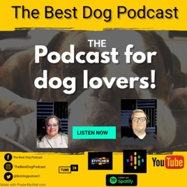 Best Dog Podcast