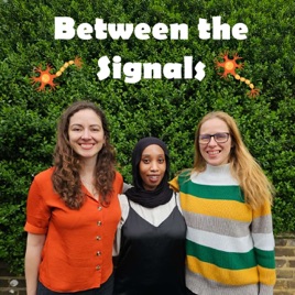 Between the Signals