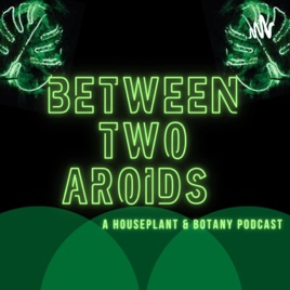 Between Two Aroids