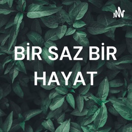 BİR SAZ BİR HAYAT