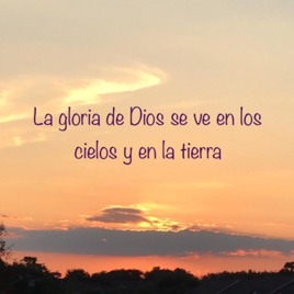 Biblia y Vida