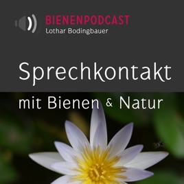 Bienengespräche – Bienenpodcast (mp3)
