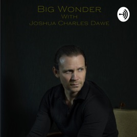 Big Wonder. Conversations with Australia's emerging Actors and Filmmakers.