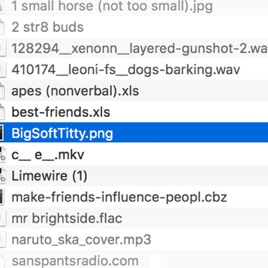 bigsofttitty.png