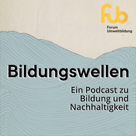 Bildungswellen
