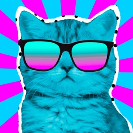 Binary Dreams - Cat!apult