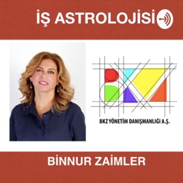 Binnur Zaimler - İş Astrolojisi - Sektörler - Sirketler - Kariyer