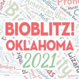 BioBlitz! Oklahoma
