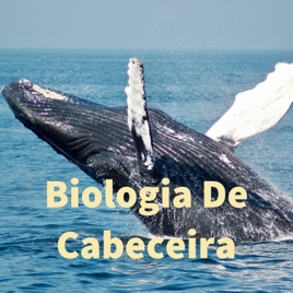 Biologia De Cabeceira