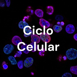 Ciclo Celular