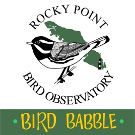 Bird Babble
