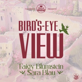 Bird’s Eye View