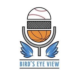 Birds Eye View