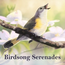 Birdsong Serenades