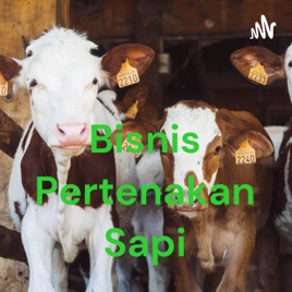 Bisnis Pertenakan Sapi