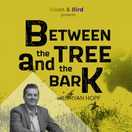 BETWEEN the TREE and the BARK