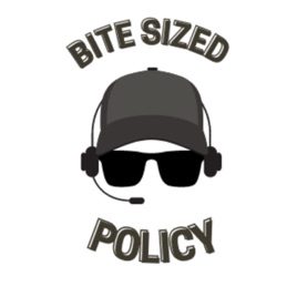 Bite Sized Policy