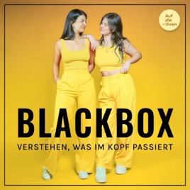 BlackBox - Verstehen, was im Kopf passiert