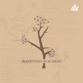 Blackthorn in Blossom