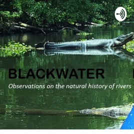 Blackwater Letters