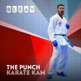 Bleav in The Punch With KarateKam