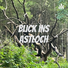 Blick ins Astloch