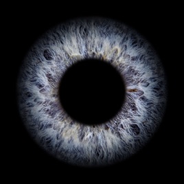 Blindseye Podcast