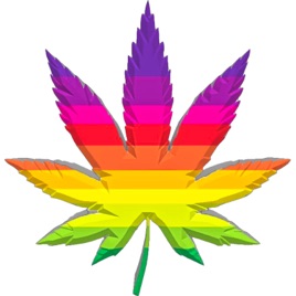 Bluntly SpeakiNN