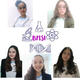 BMSI