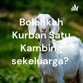 Bolehkah Kurban Satu Kambing sekeluarga?