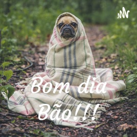 Bom dia Bão!!!