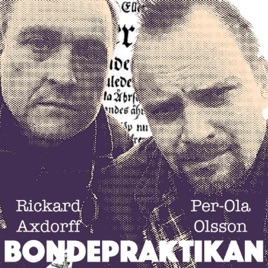 Bondepraktikan