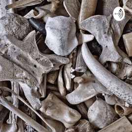 Bones and it's types