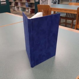 Book With the Blue Cover