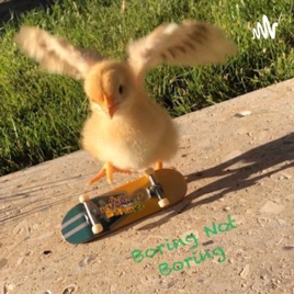 Boring Not Boring
