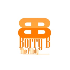 Borrybthepiloty voice over
