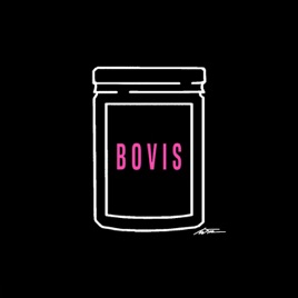 Bovis