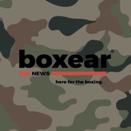 Boxear News